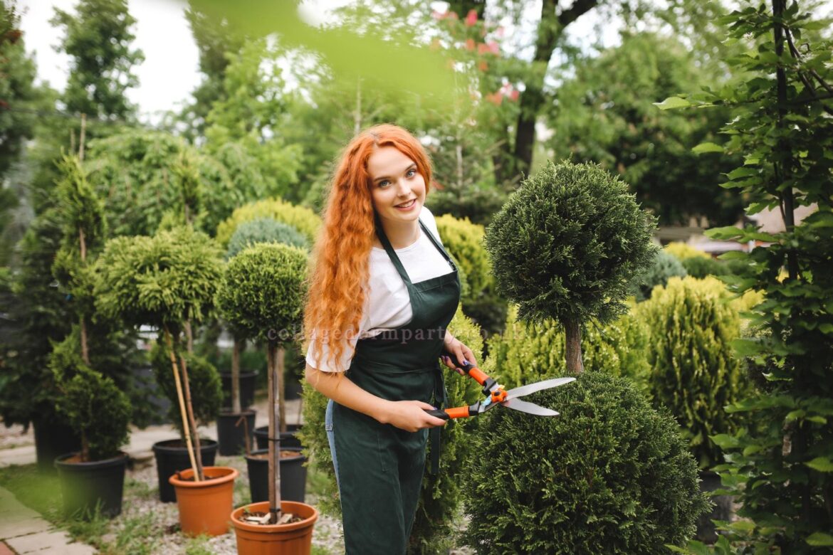 Local Landscape Designer