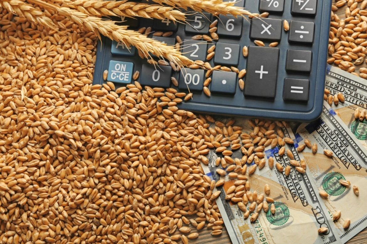 crop farmer