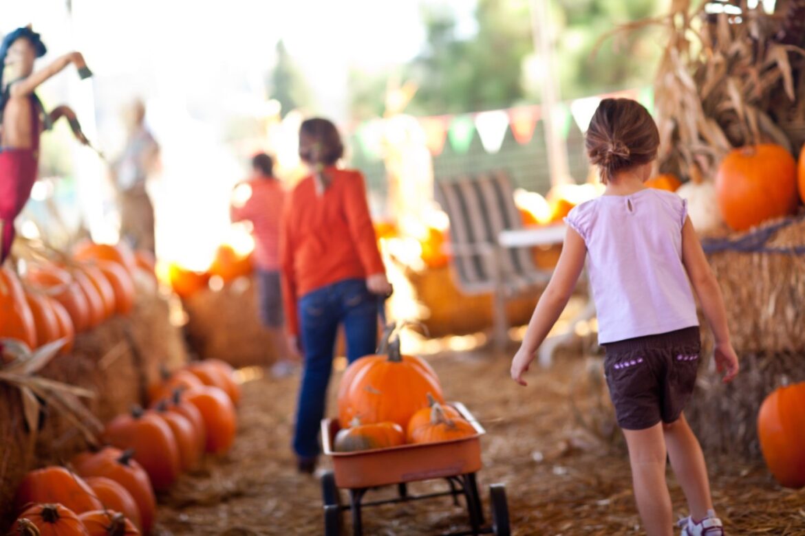 Preschool Activities
