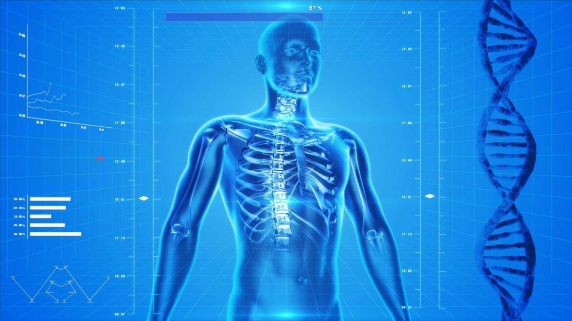 essentials of human anatomy and physiology