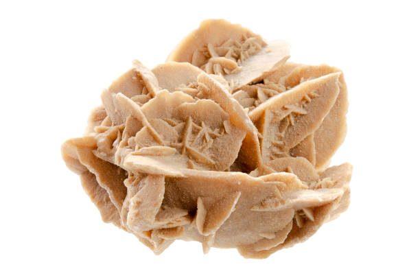 Desert Rose
