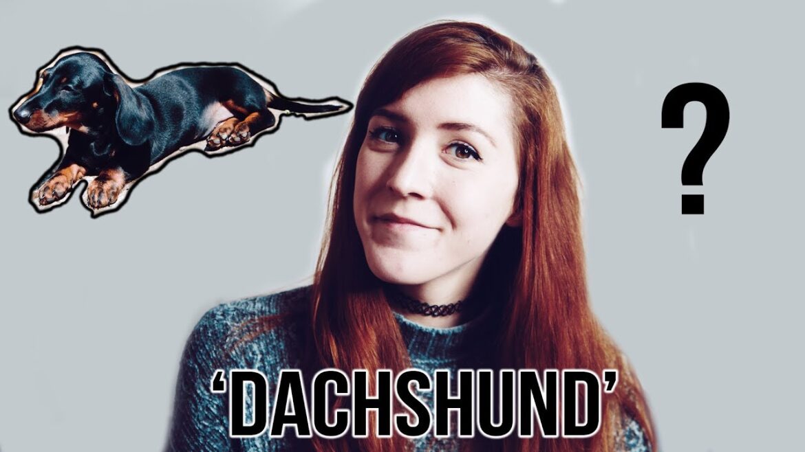 dachshund pronunciation